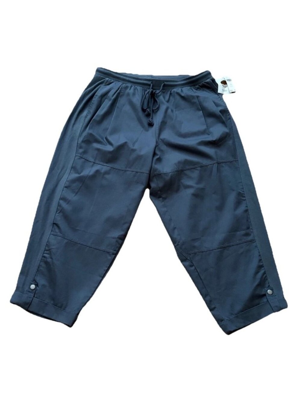Anthropologie Daily Practice Pants Size 1X Gray Pull On Pleated Women NWT